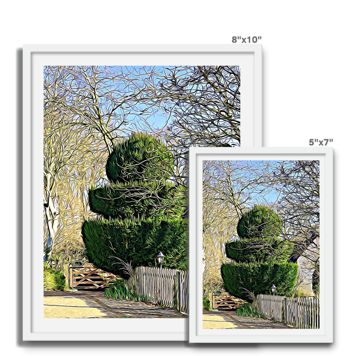 Hodwell Topiary - Illustrated Framed Photo Tile