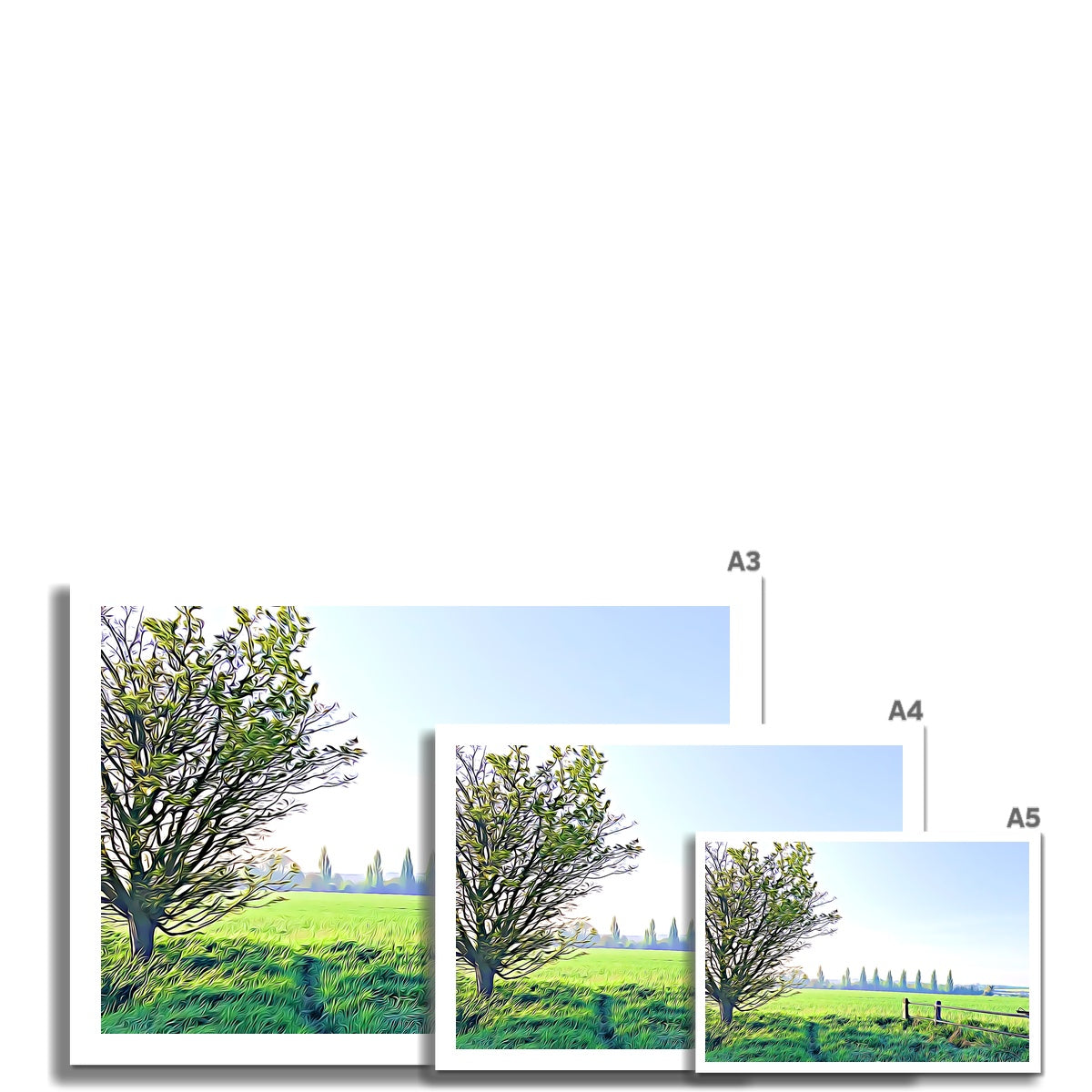 Poplars from Gardiners Lane - Illustrated Fine Art Print