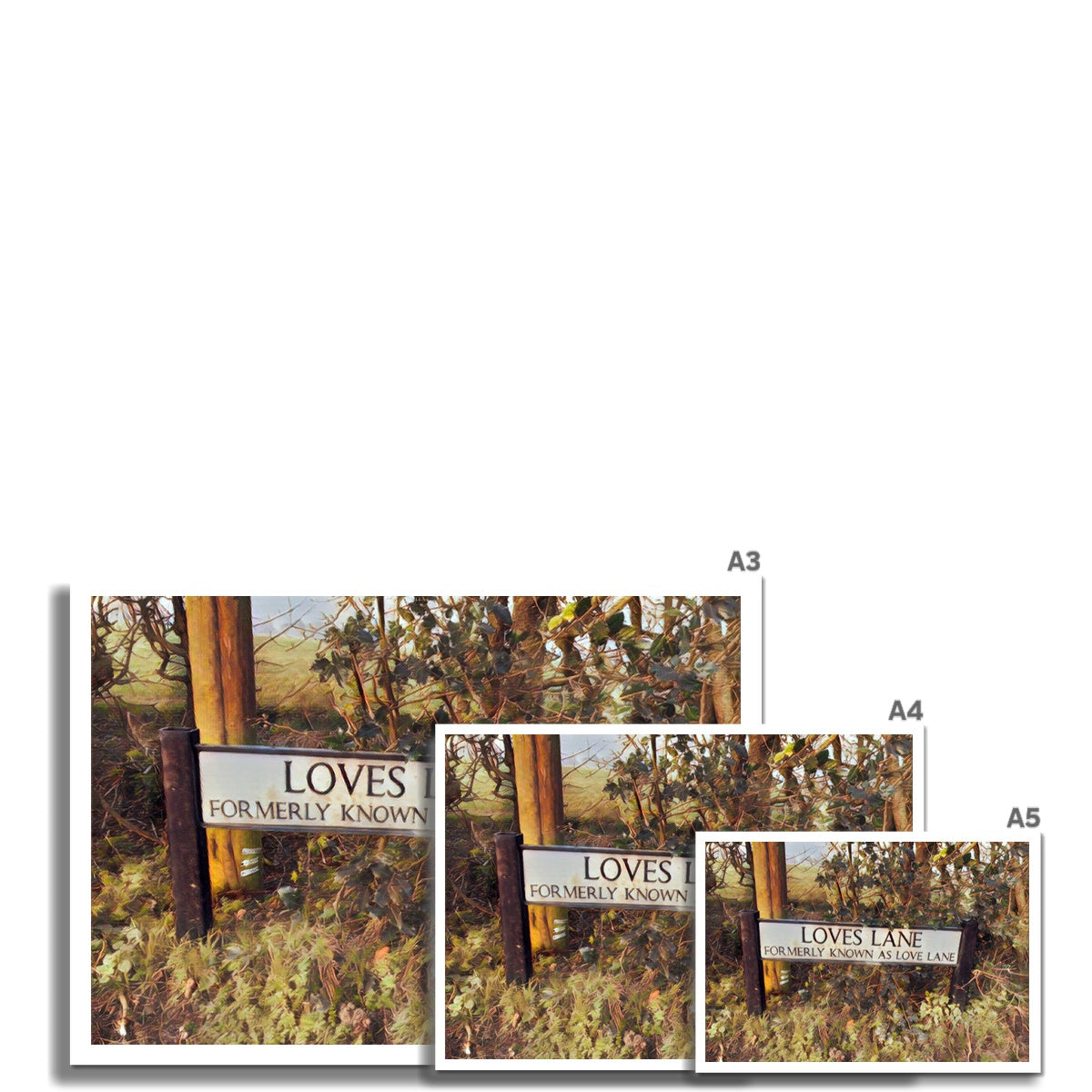 Loves Lane  -  Watercolour Fine Art Print