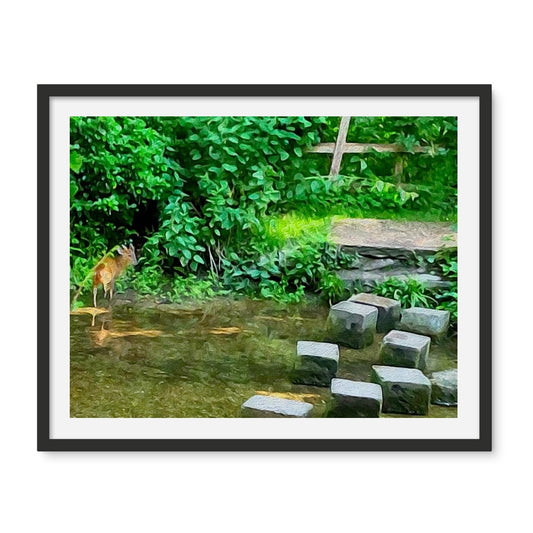 The Springs Muntjack - Oil Framed Photo Tile