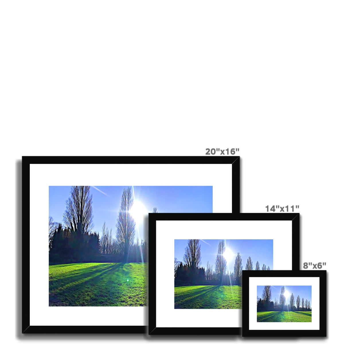 The Poplars - Illustrated Framed & Mounted Print