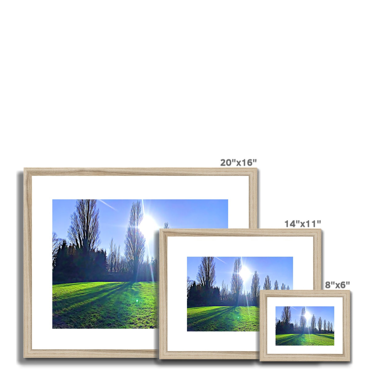 The Poplars - Illustrated Framed & Mounted Print