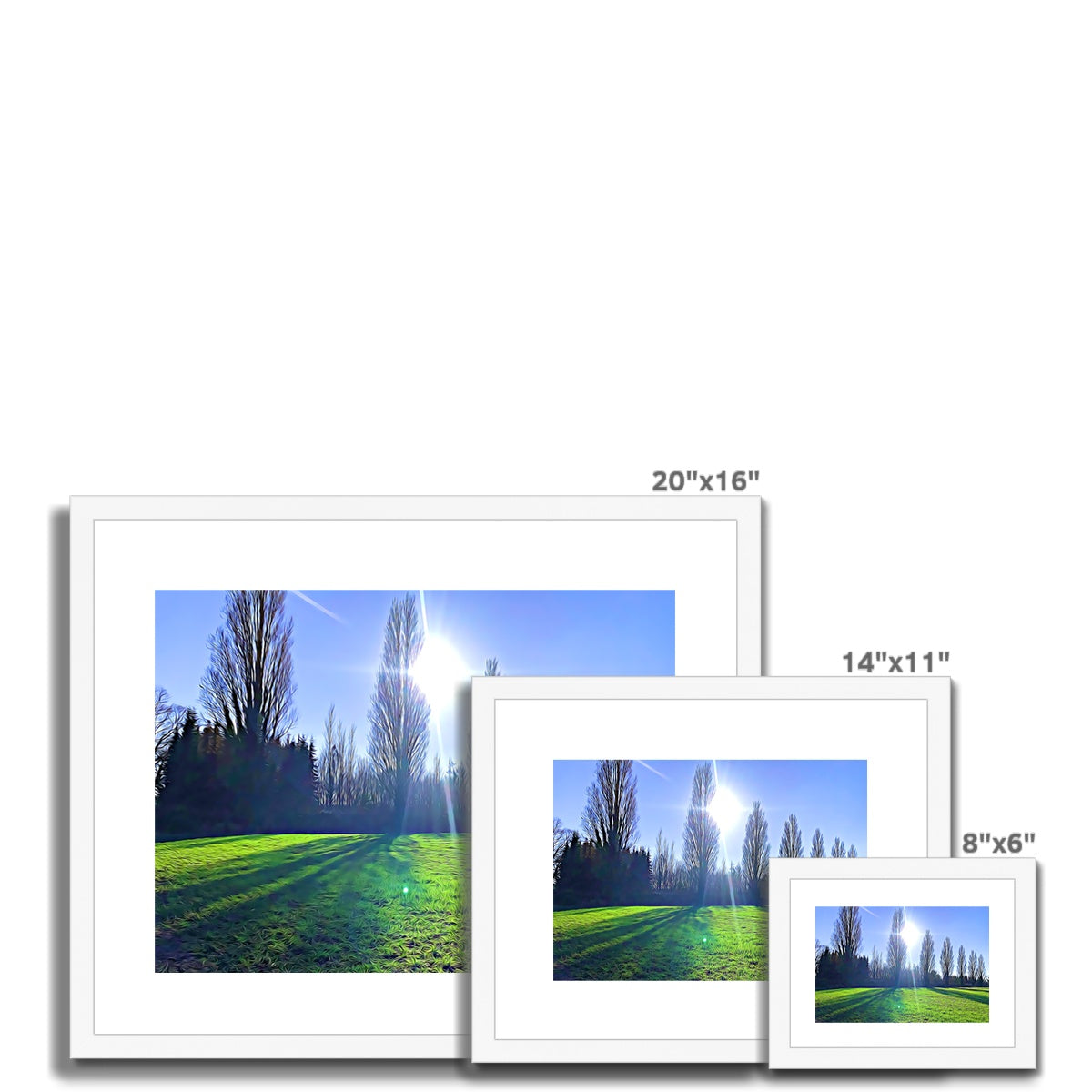 The Poplars - Illustrated Framed & Mounted Print