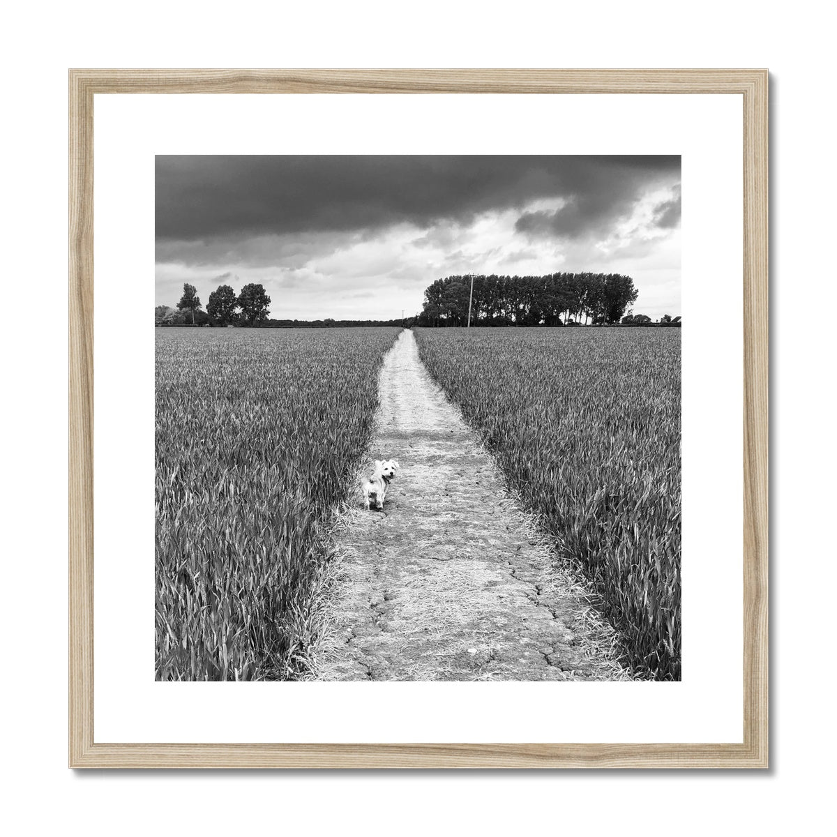 Jooie Parting the Way - Black & White Framed & Mounted Print