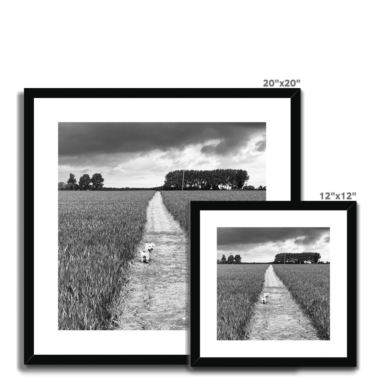 Jooie Parting the Way - Black & White Framed & Mounted Print