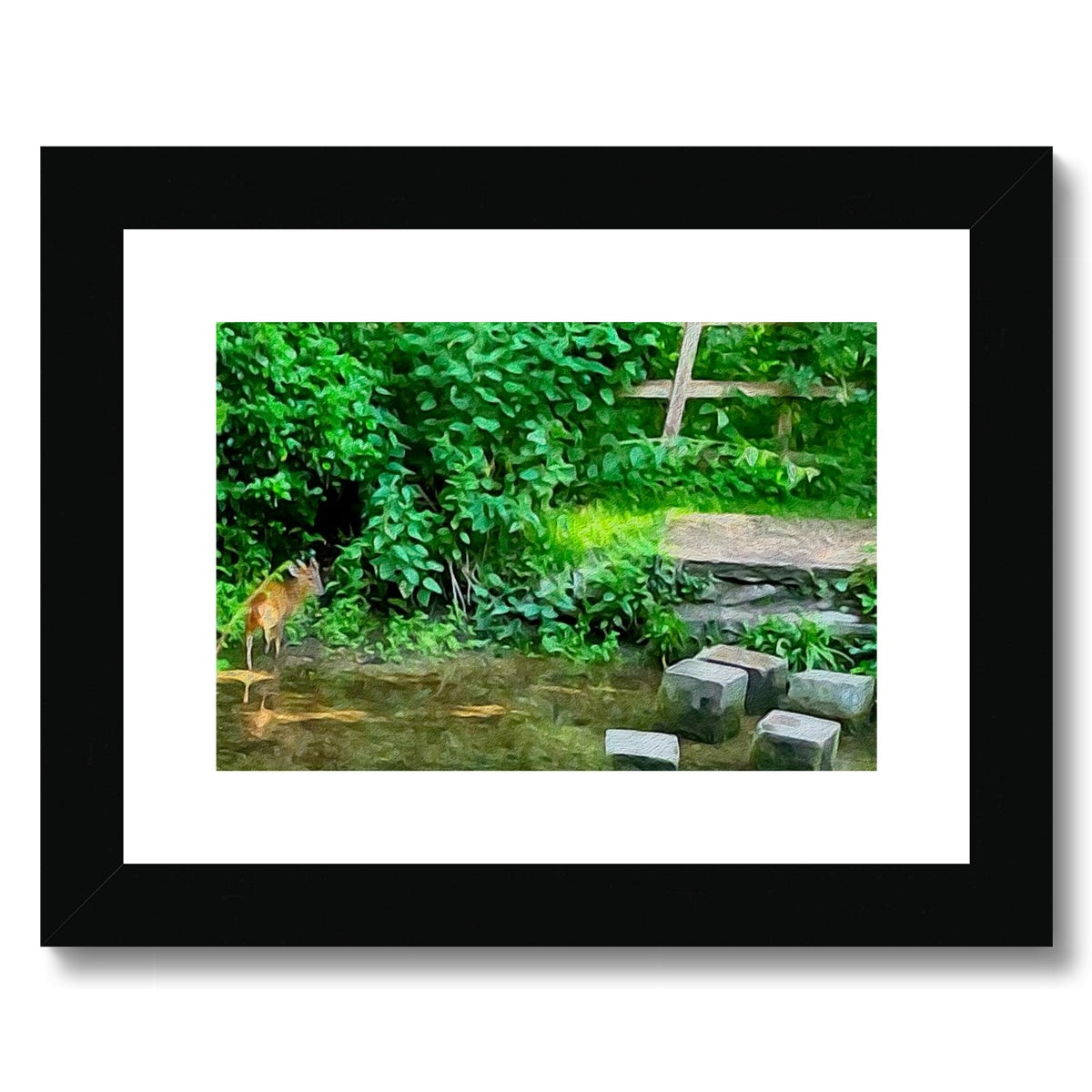 The Springs Muntjack - Oil Framed & Mounted Print