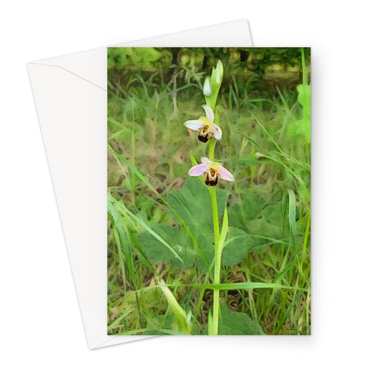 Bee Orchid on Morning Walk - Oil Greeting Card