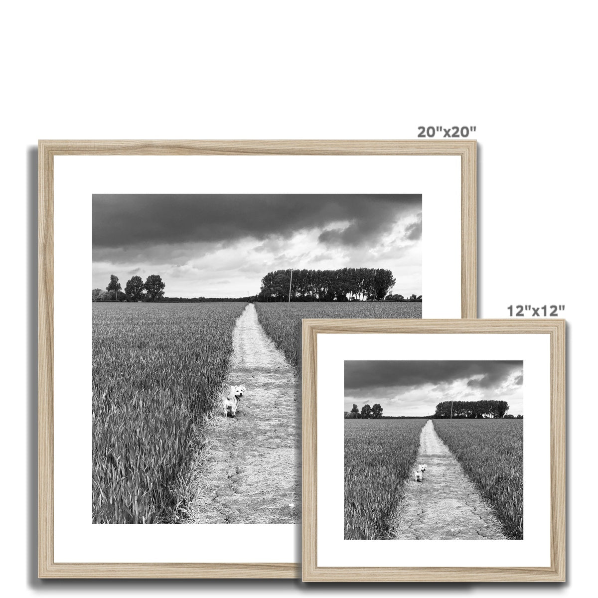 Jooie Parting the Way - Black & White Framed & Mounted Print