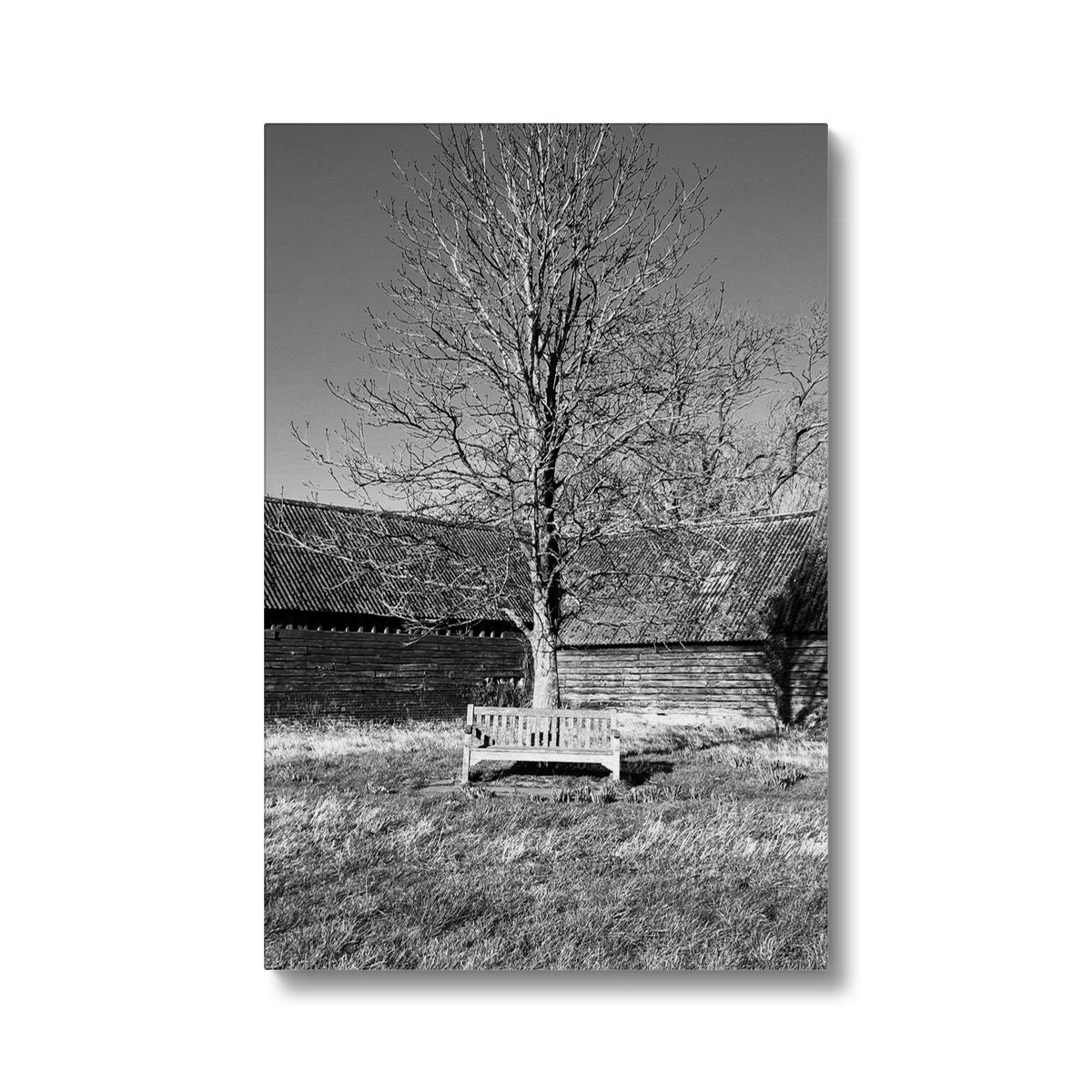 Bench at Bluegates - Black & White Canvas