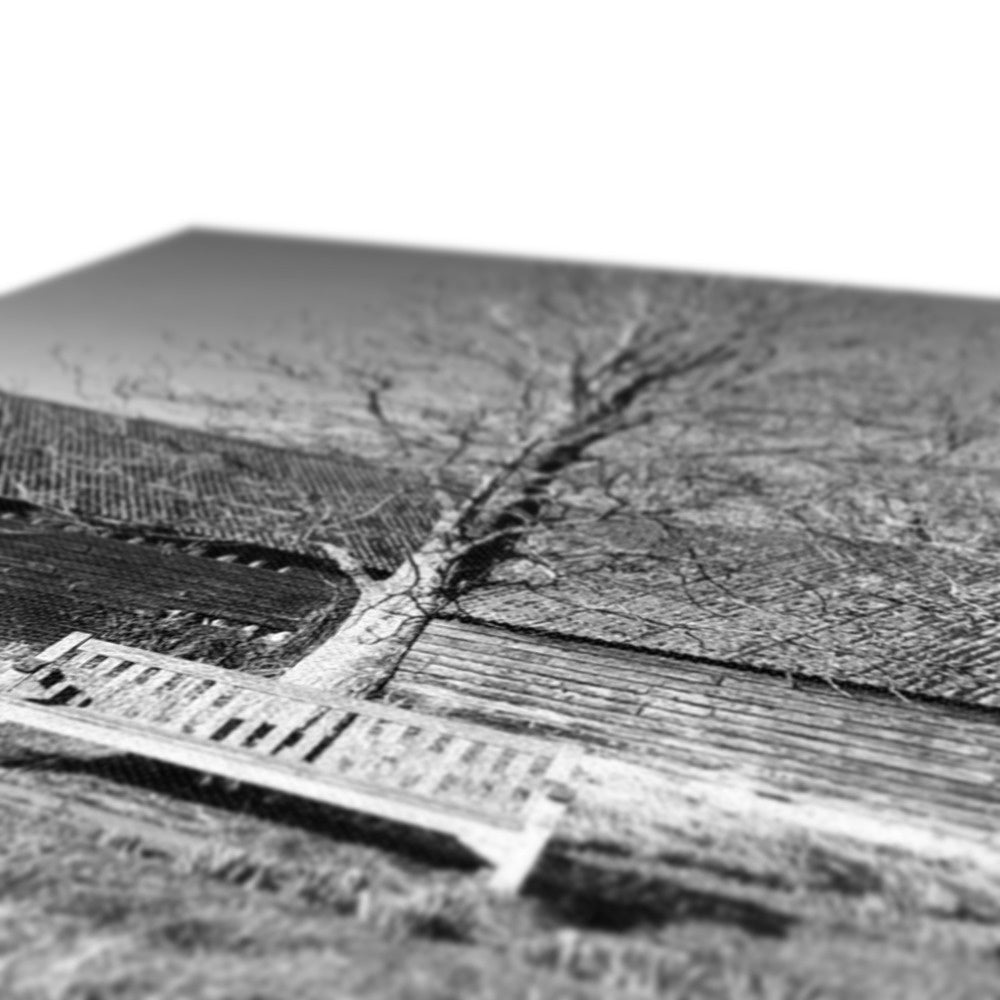 Bench at Bluegates - Black & White Canvas