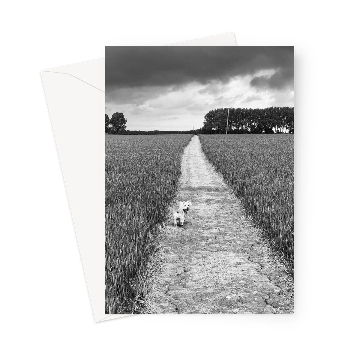 Jooie Parting the Way - Black & White Greeting Card