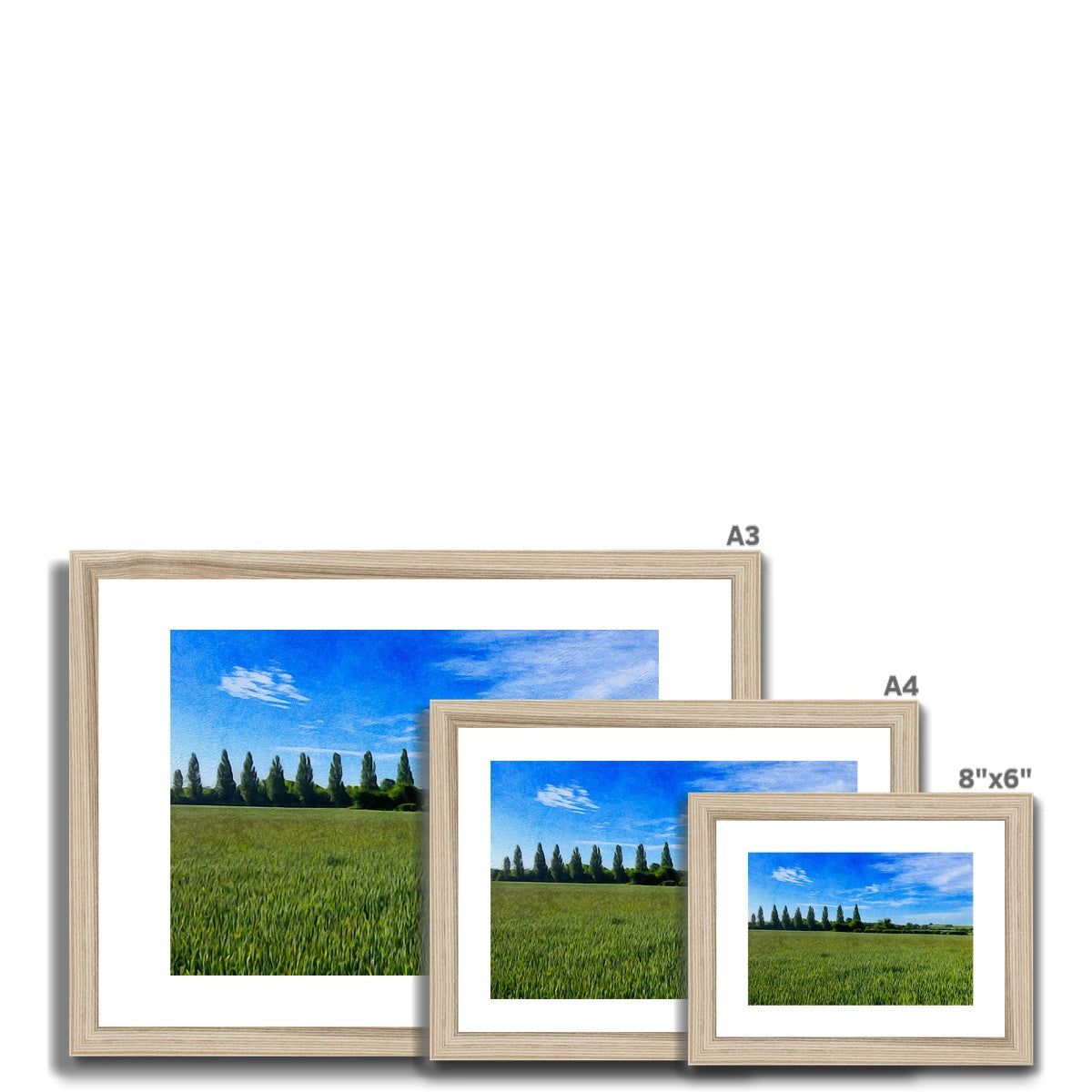 Poplars - Oil Framed & Mounted Print