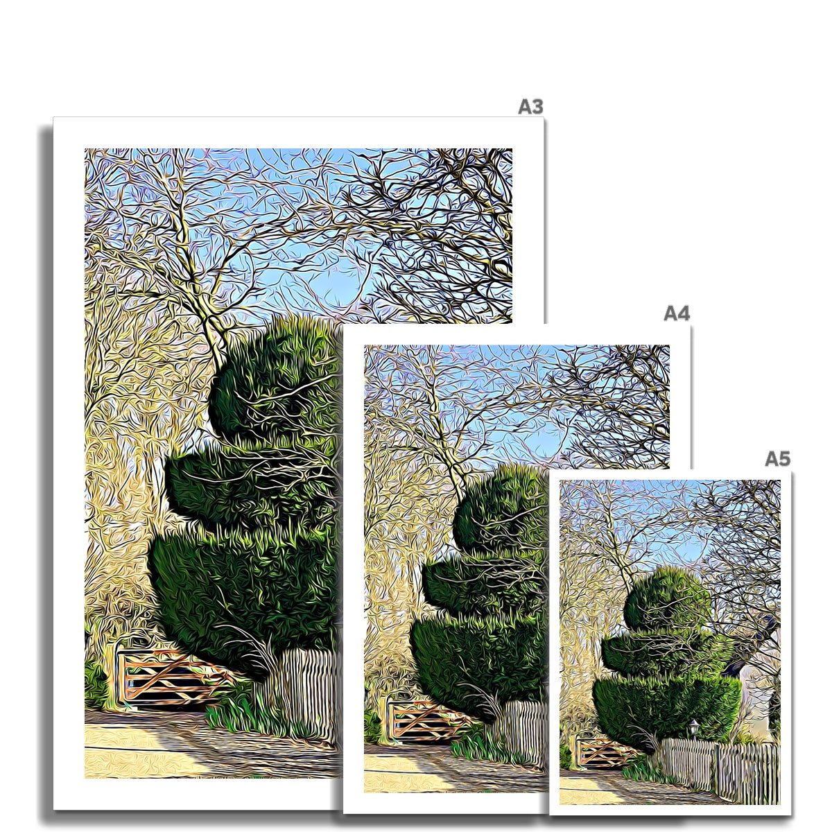 Hodwell Topiary - Illustrated Fine Art Print