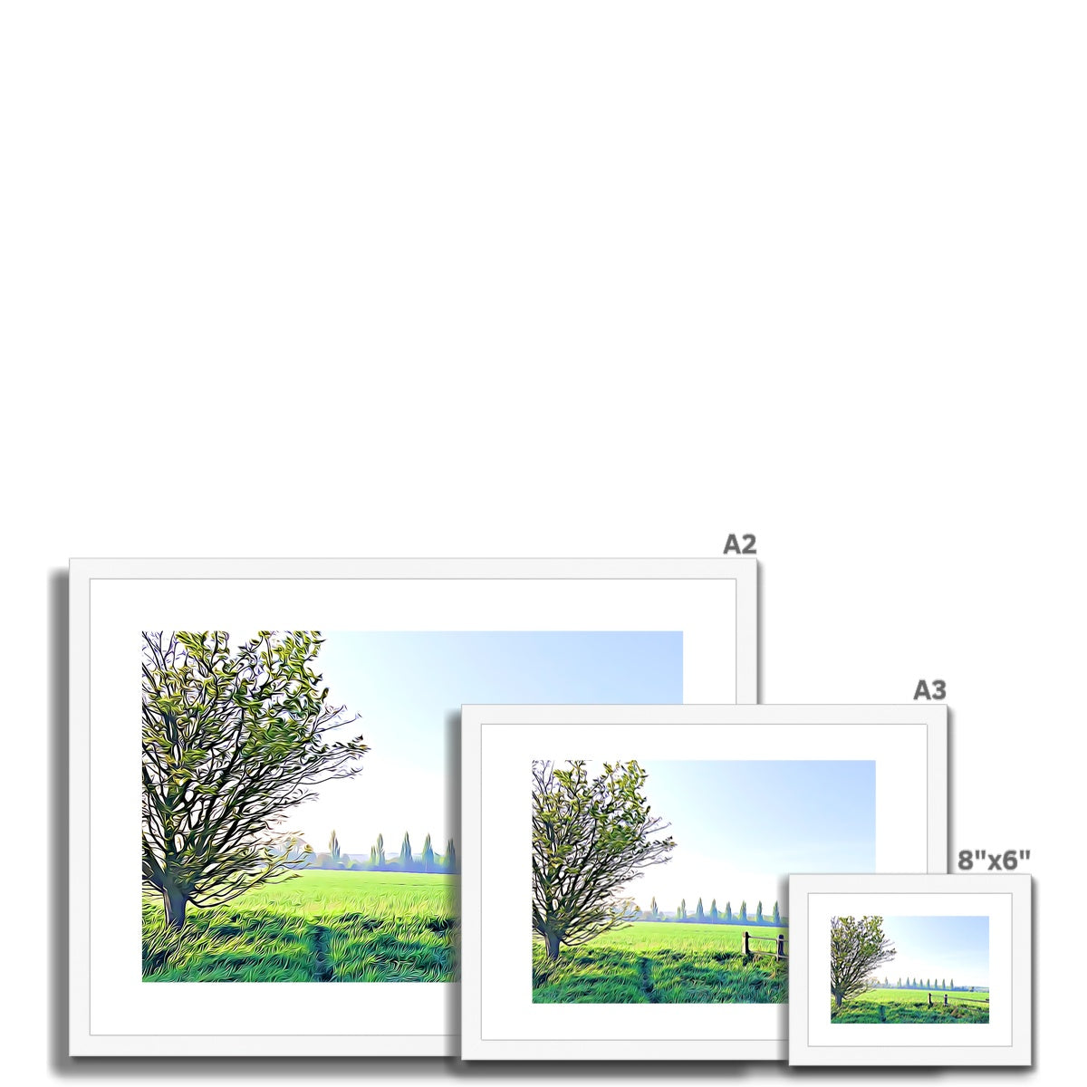 Poplars from Gardiners Lane - Illustrated Framed & Mounted Print