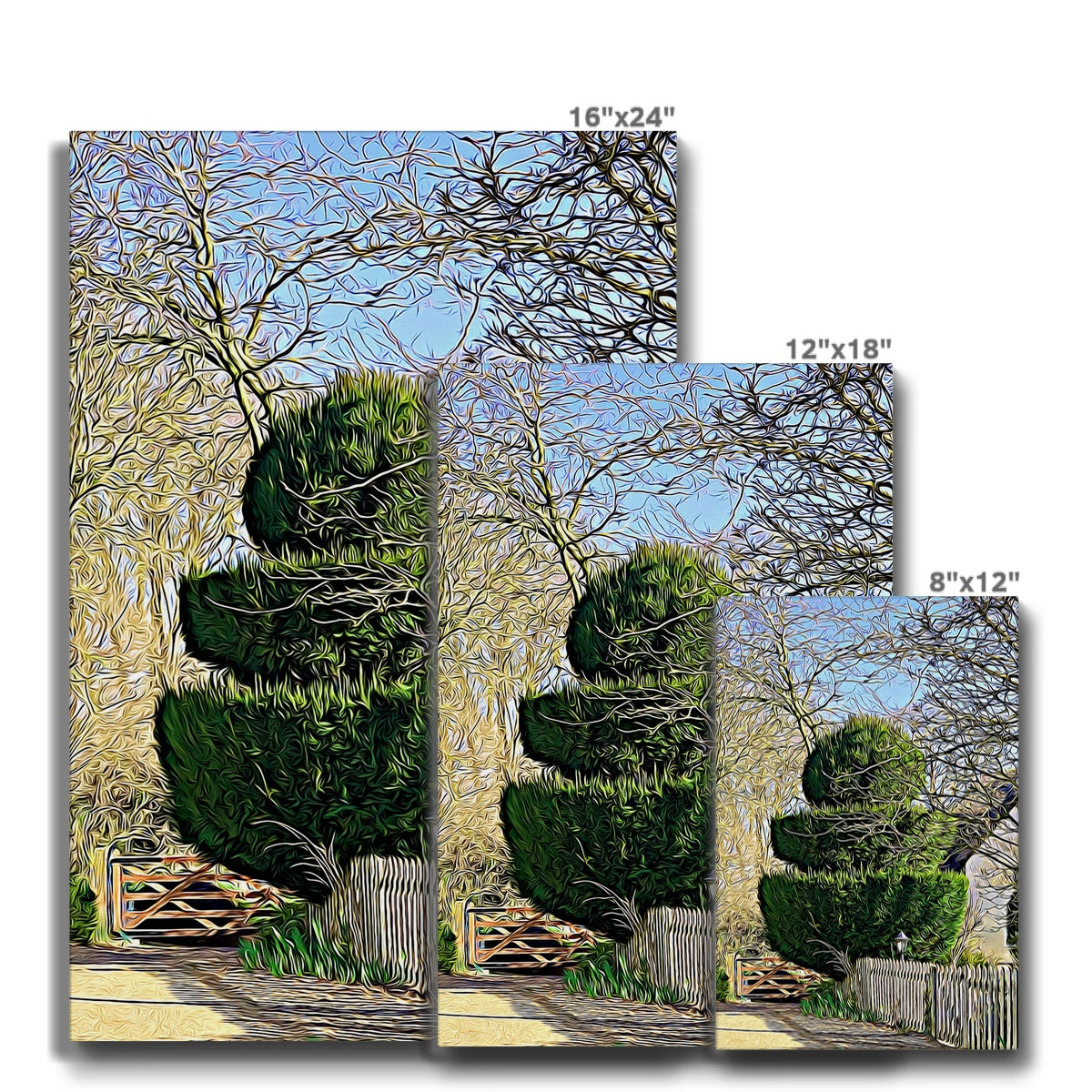 Hodwell Topiary - Illustrated Canvas