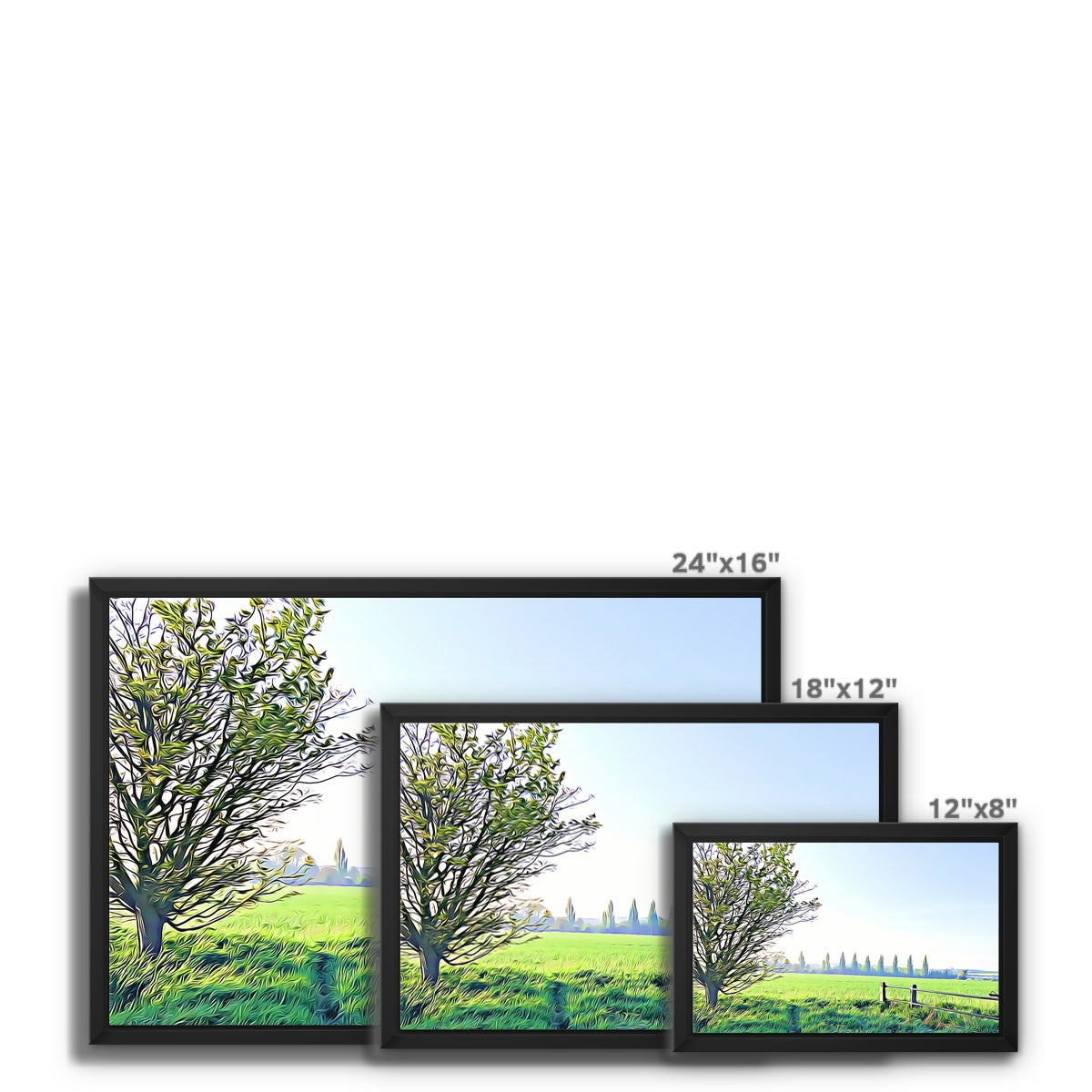 Poplars from Gardiners Lane - Illustrated Framed Canvas