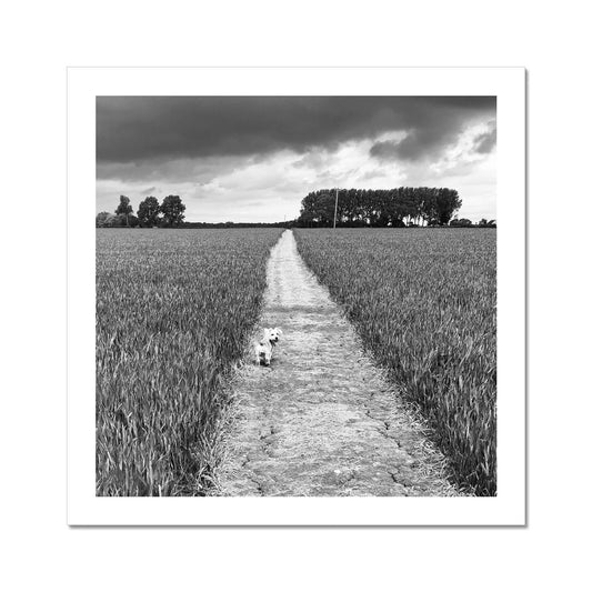 Jooie Parting the Way - Black & White Fine Art Print