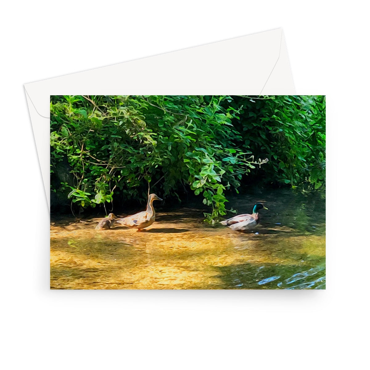 Ashwell Springs Ducks - Oil Greeting Card