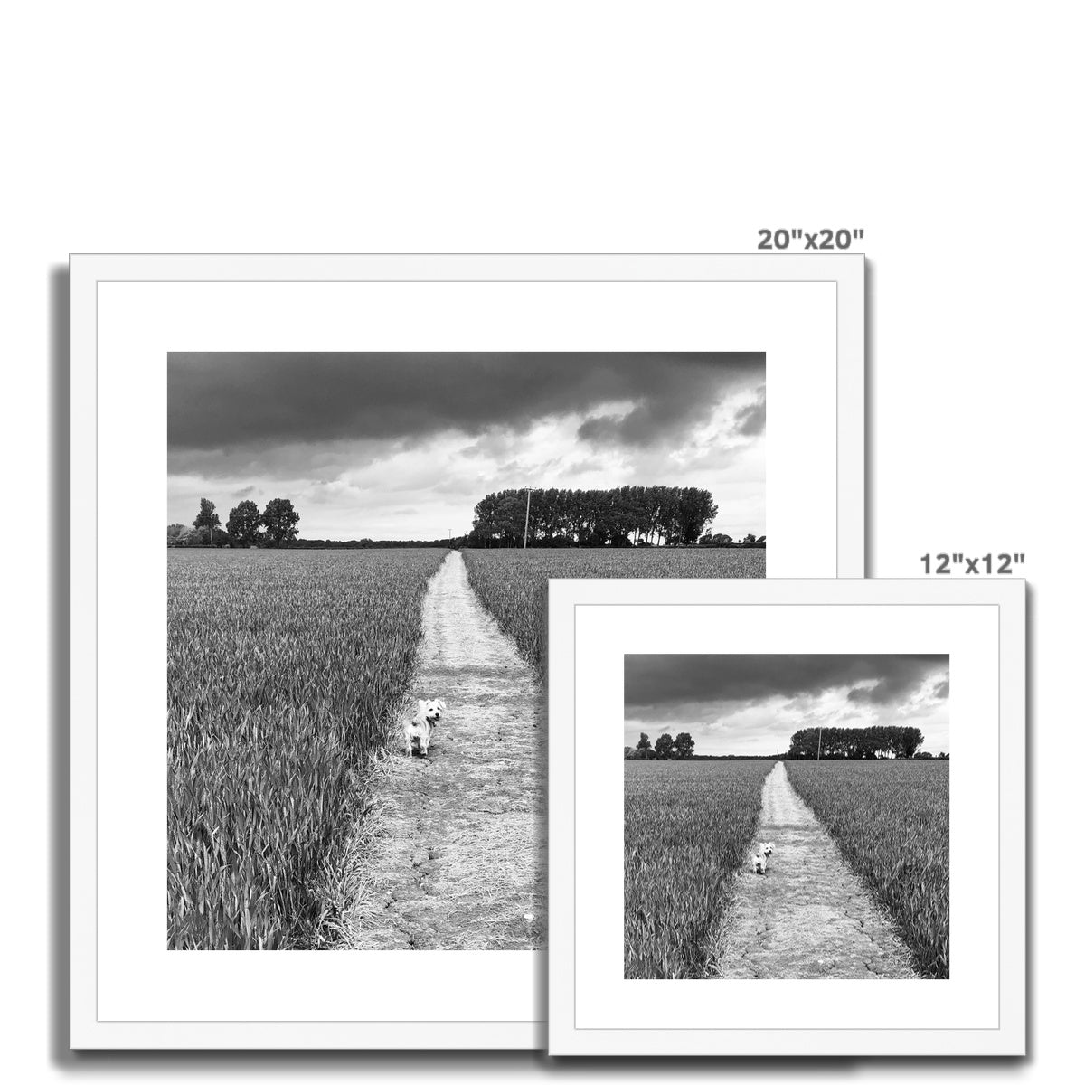 Jooie Parting the Way - Black & White Framed & Mounted Print