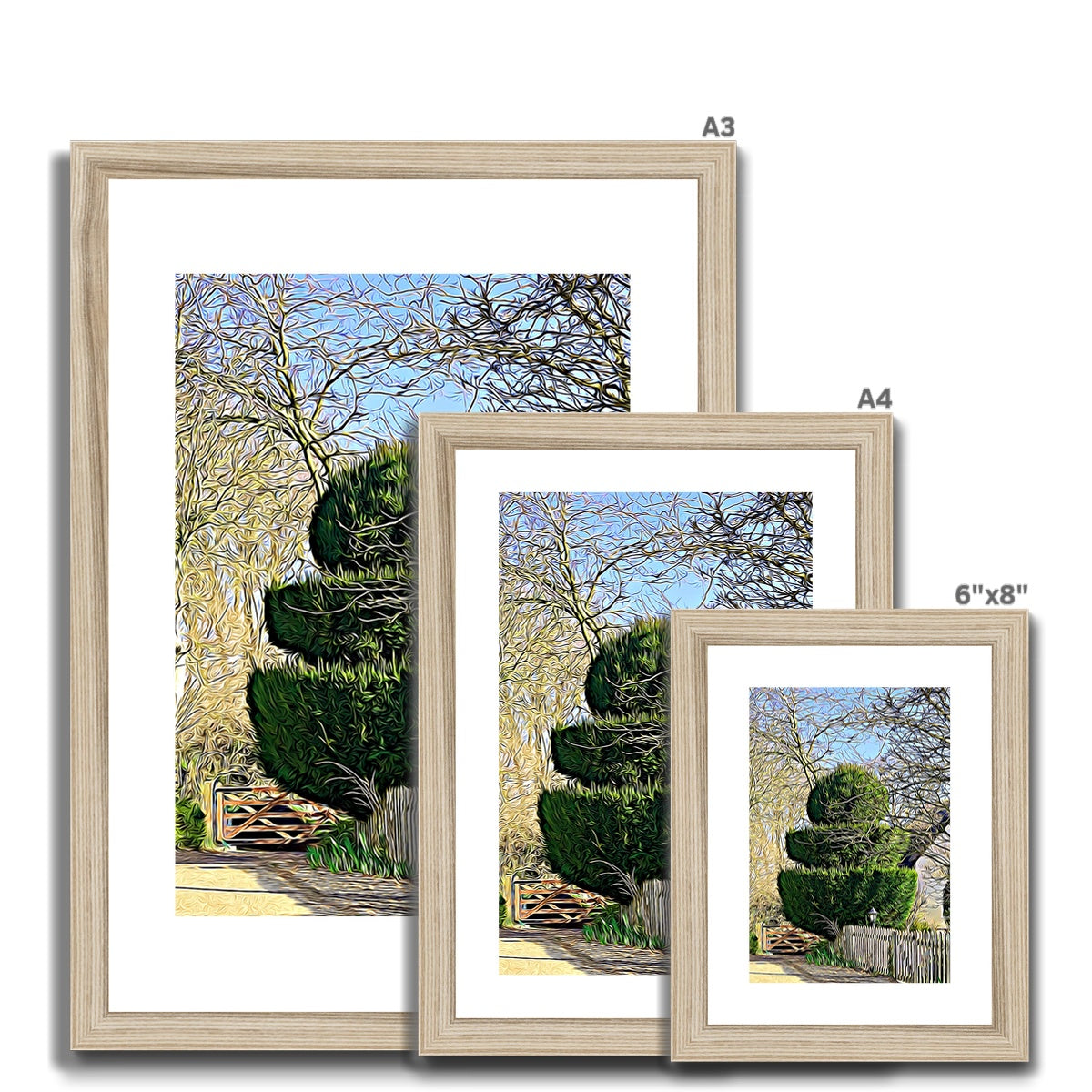 Hodwell Topiary - Illustrated Framed & Mounted Print