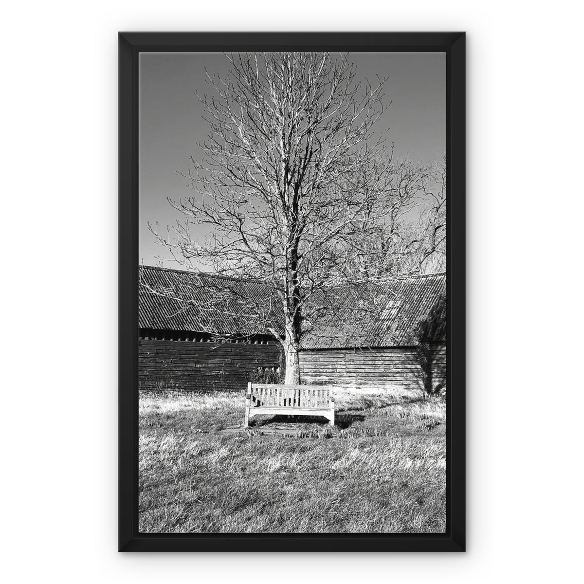 Bench at Bluegates - Black & White Framed Canvas