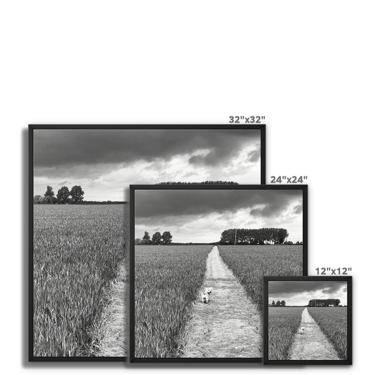 Jooie Parting the Way - Black & White Framed Canvas