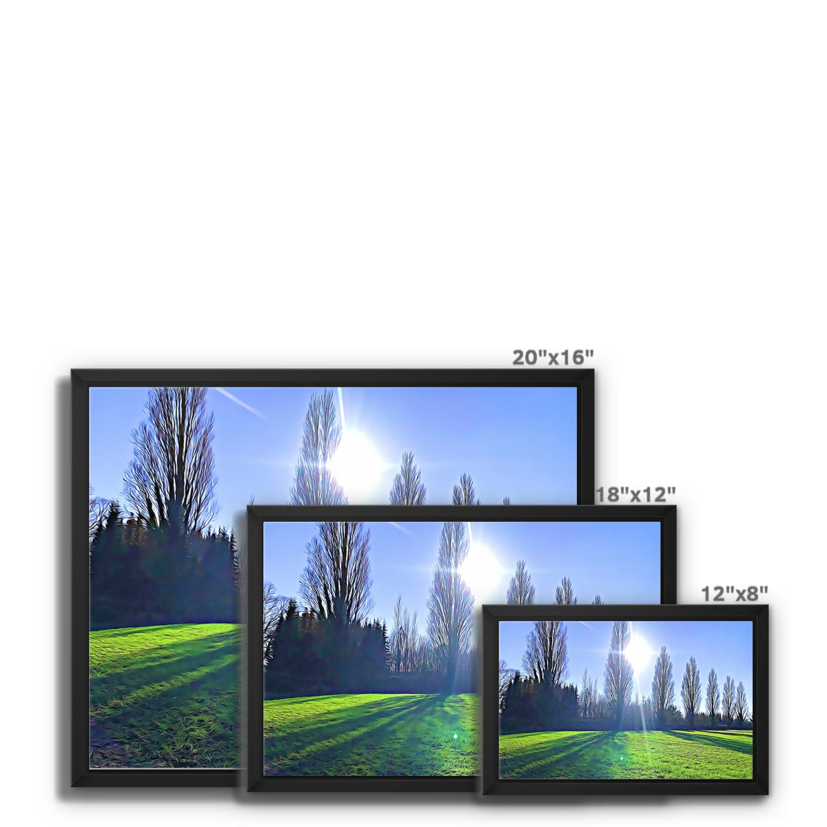 The Poplars - Illustrated Framed Canvas