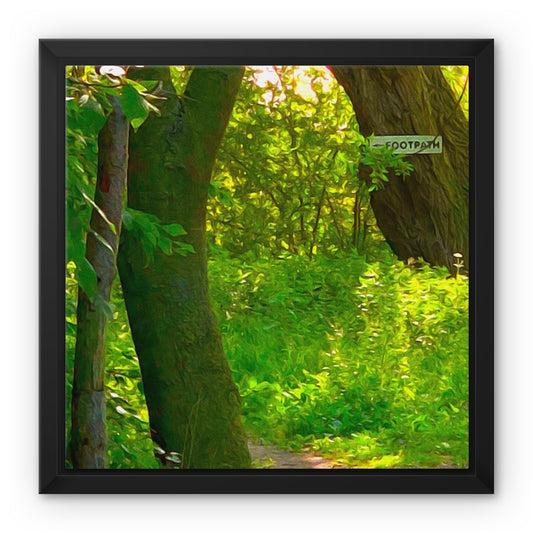 Gladed Footpath - Oil Framed Canvas