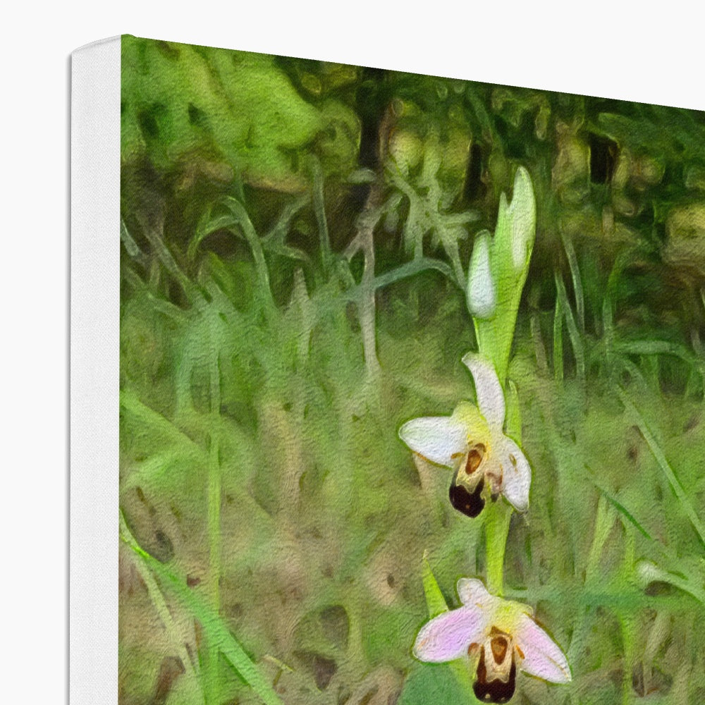 Bee Orchid on Morning Walk - Oil Canvas