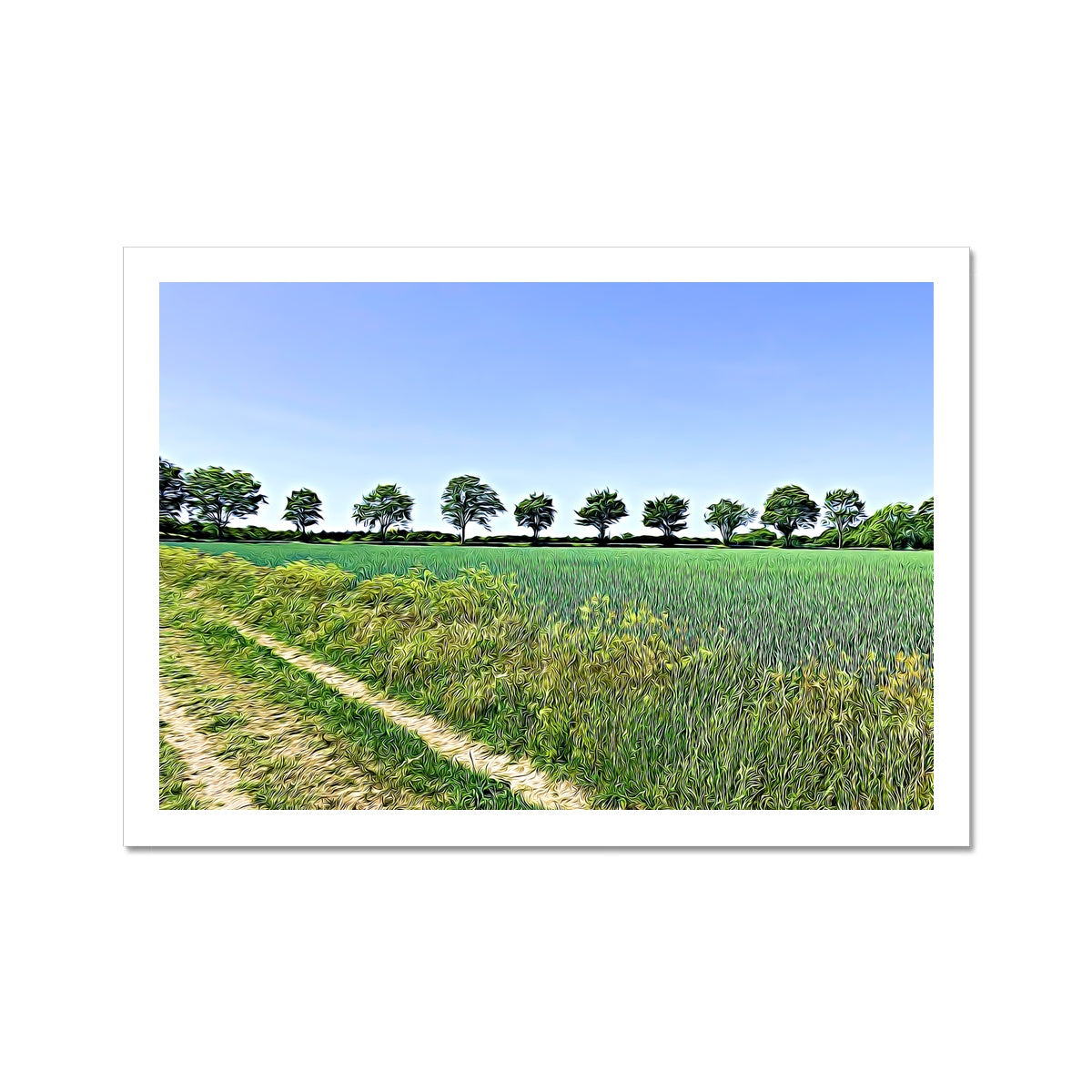 Ashwell Street Trees - Illustrated Fine Art Print