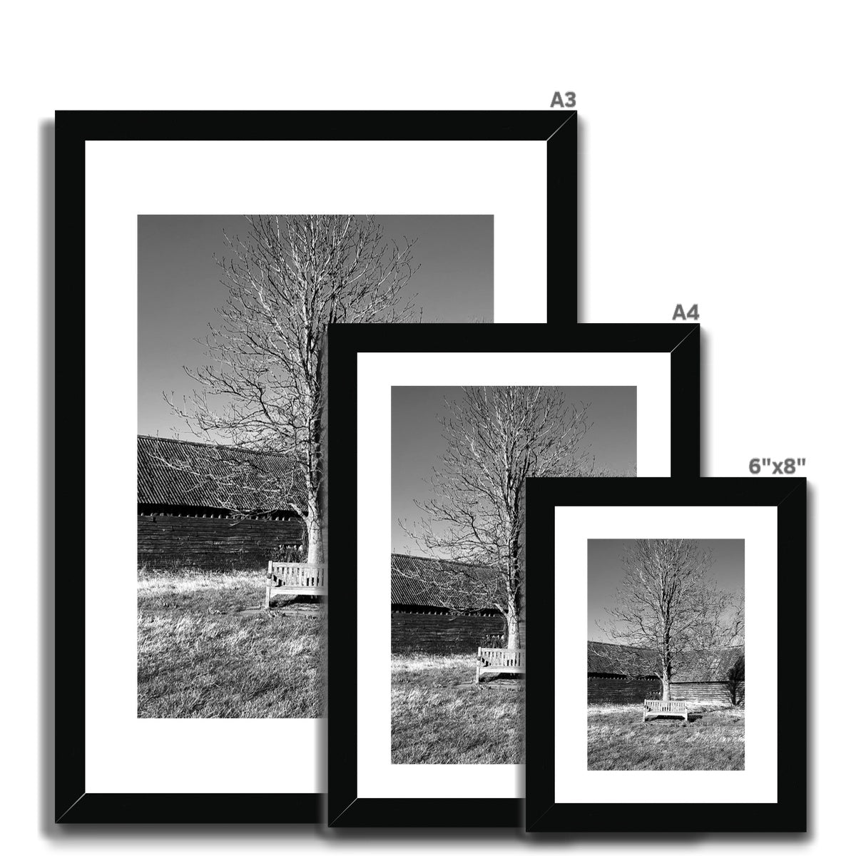 Bench at Bluegates - Black & White Framed & Mounted Print