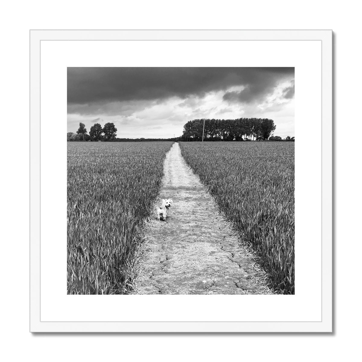 Jooie Parting the Way - Black & White Framed & Mounted Print