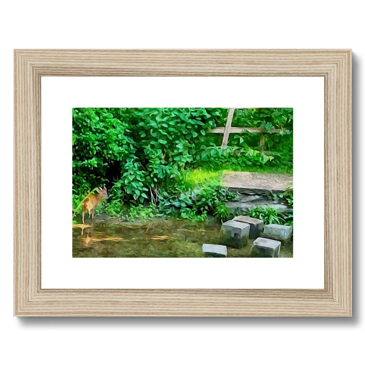 The Springs Muntjack - Oil Framed & Mounted Print