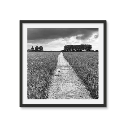 Jooie Parting the Way - Black & White Framed Photo Tile