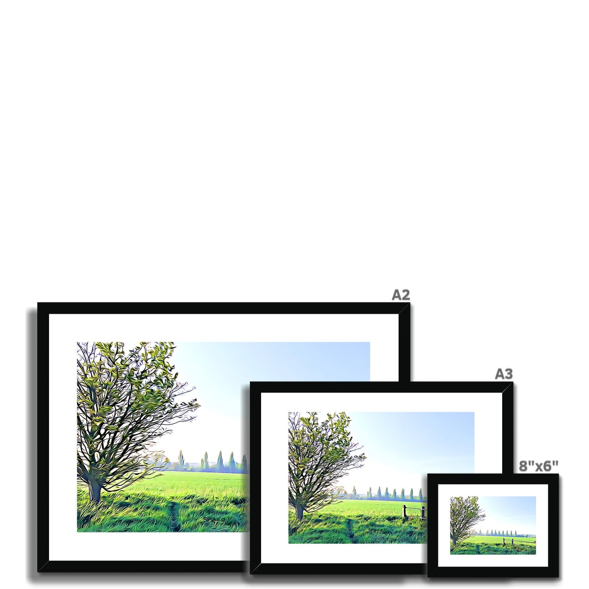 Poplars from Gardiners Lane - Illustrated Framed & Mounted Print