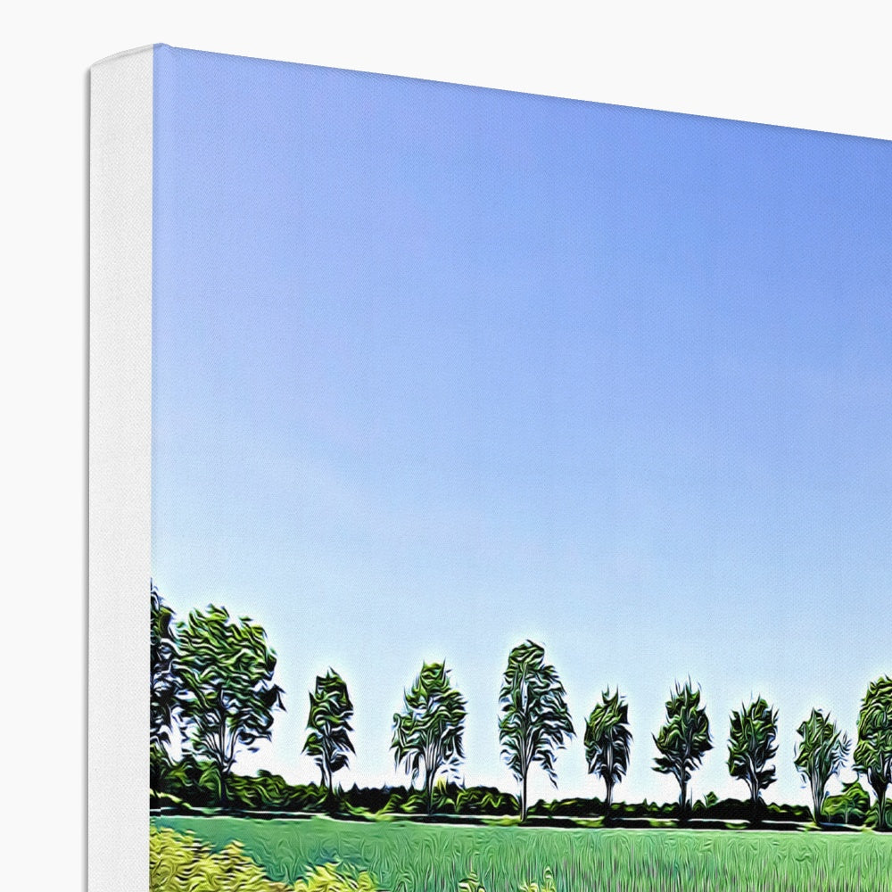 Ashwell Street Trees - Illustrated Canvas