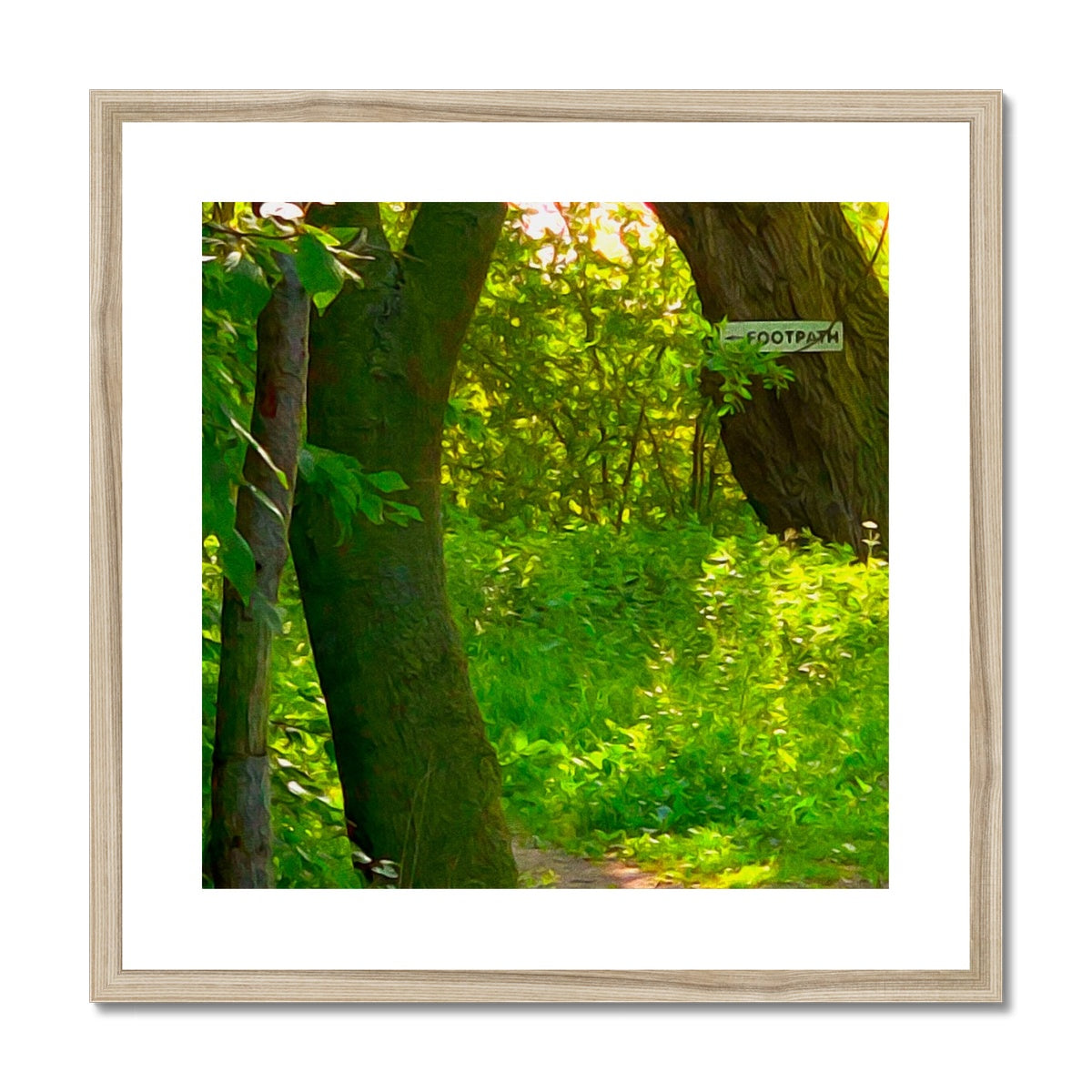 Gladed Footpath - Oil Framed & Mounted Print