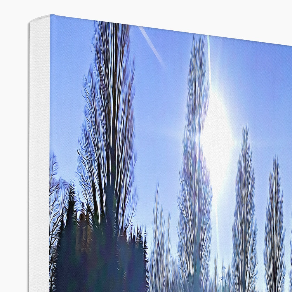 The Poplars - Illustrated Canvas