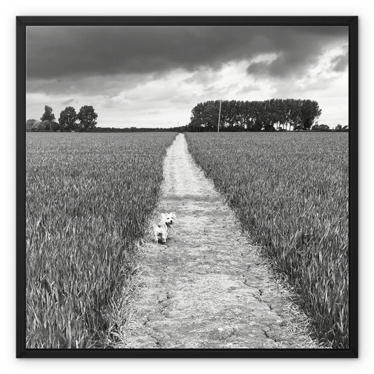 Jooie Parting the Way - Black & White Framed Canvas