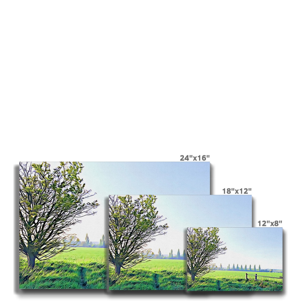 Poplars from Gardiners Lane - Illustrated Canvas