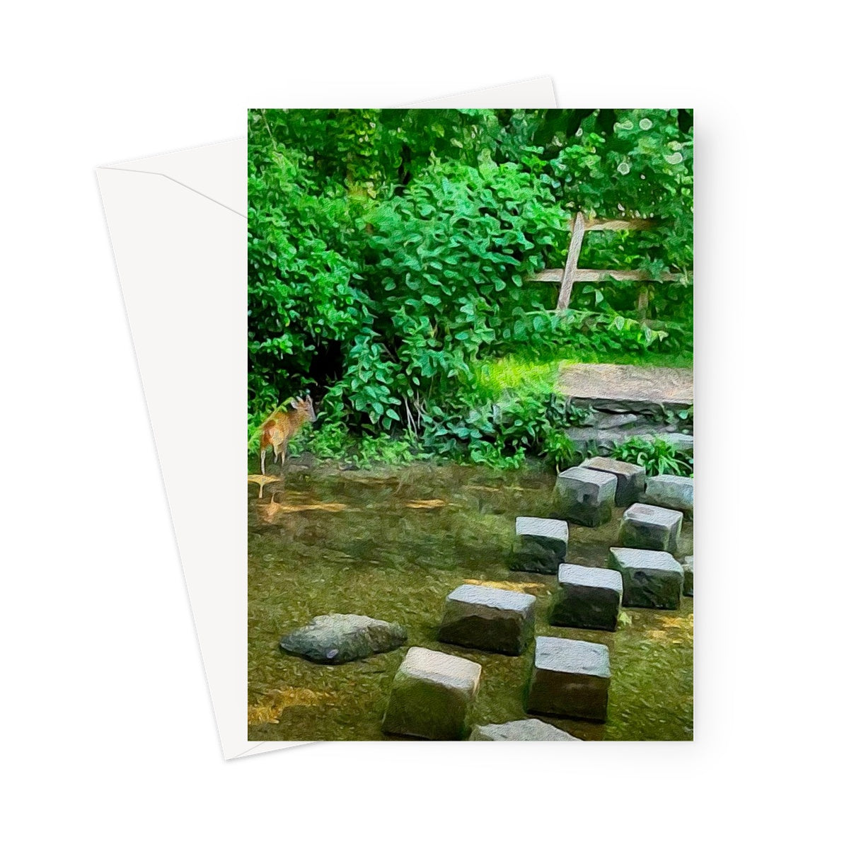 The Springs Muntjack - Oil Greeting Card