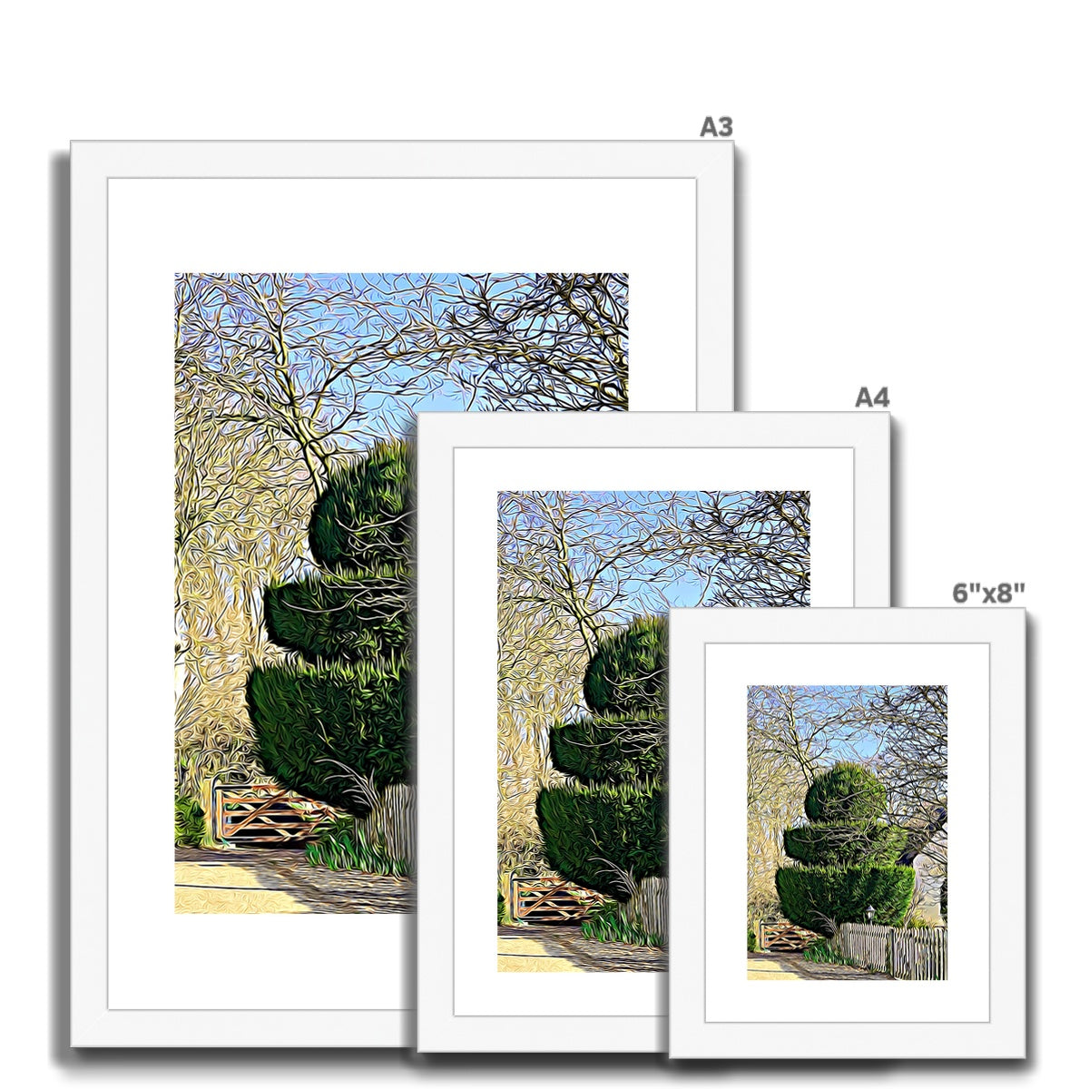 Hodwell Topiary - Illustrated Framed & Mounted Print