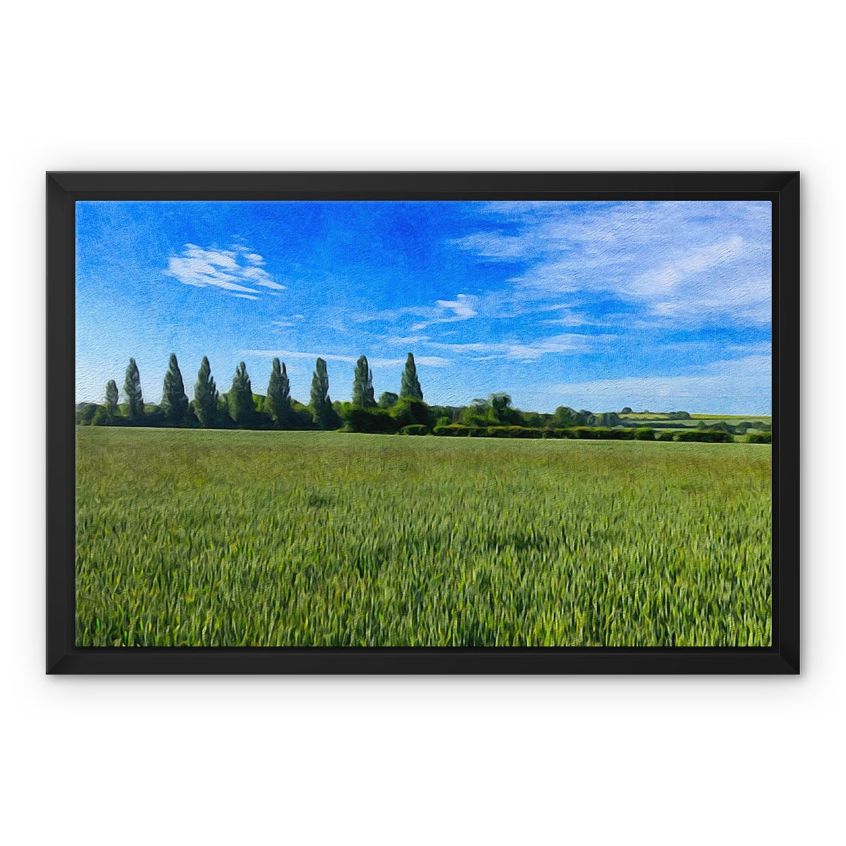 Poplars - Oil Framed Canvas