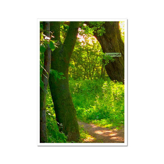 Gladed Footpath - Oil Fine Art Print