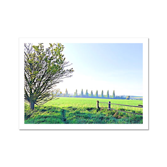 Poplars from Gardiners Lane - Illustrated Fine Art Print