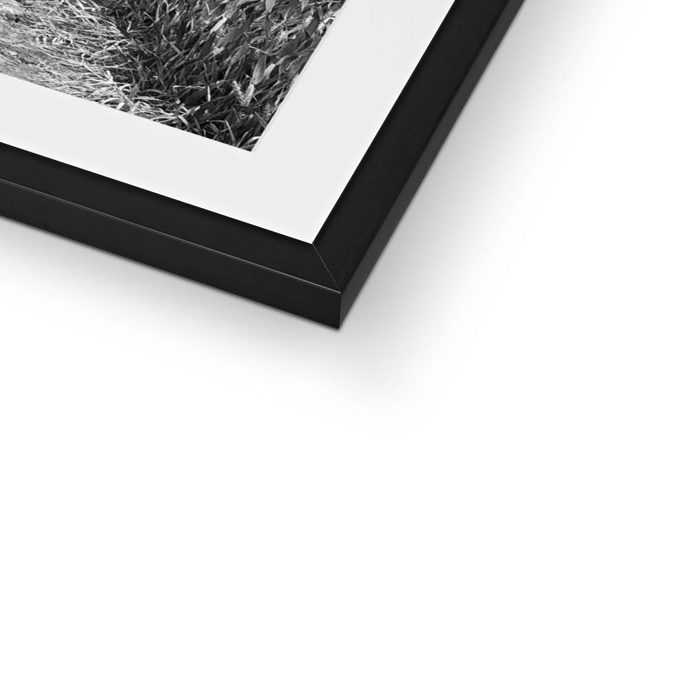 Jooie Parting the Way - Black & White Framed & Mounted Print