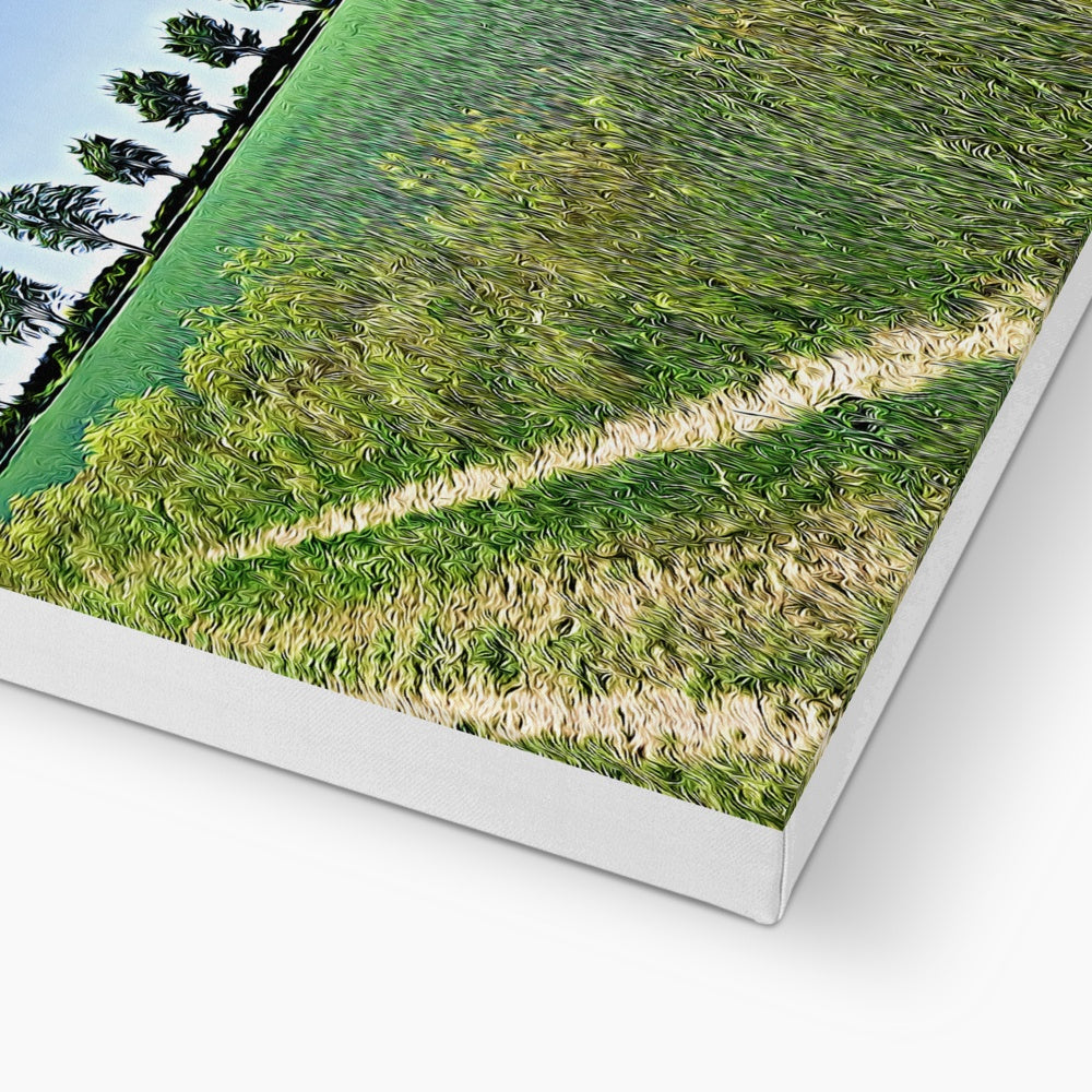 Ashwell Street Trees - Illustrated Canvas