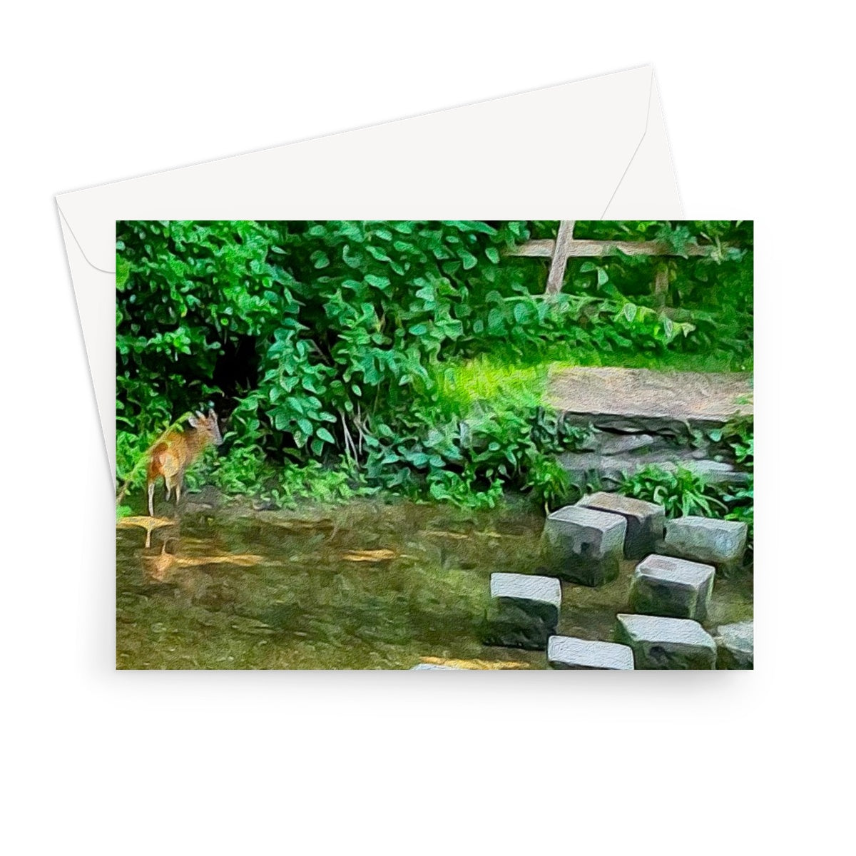 The Springs Muntjack - Oil Greeting Card