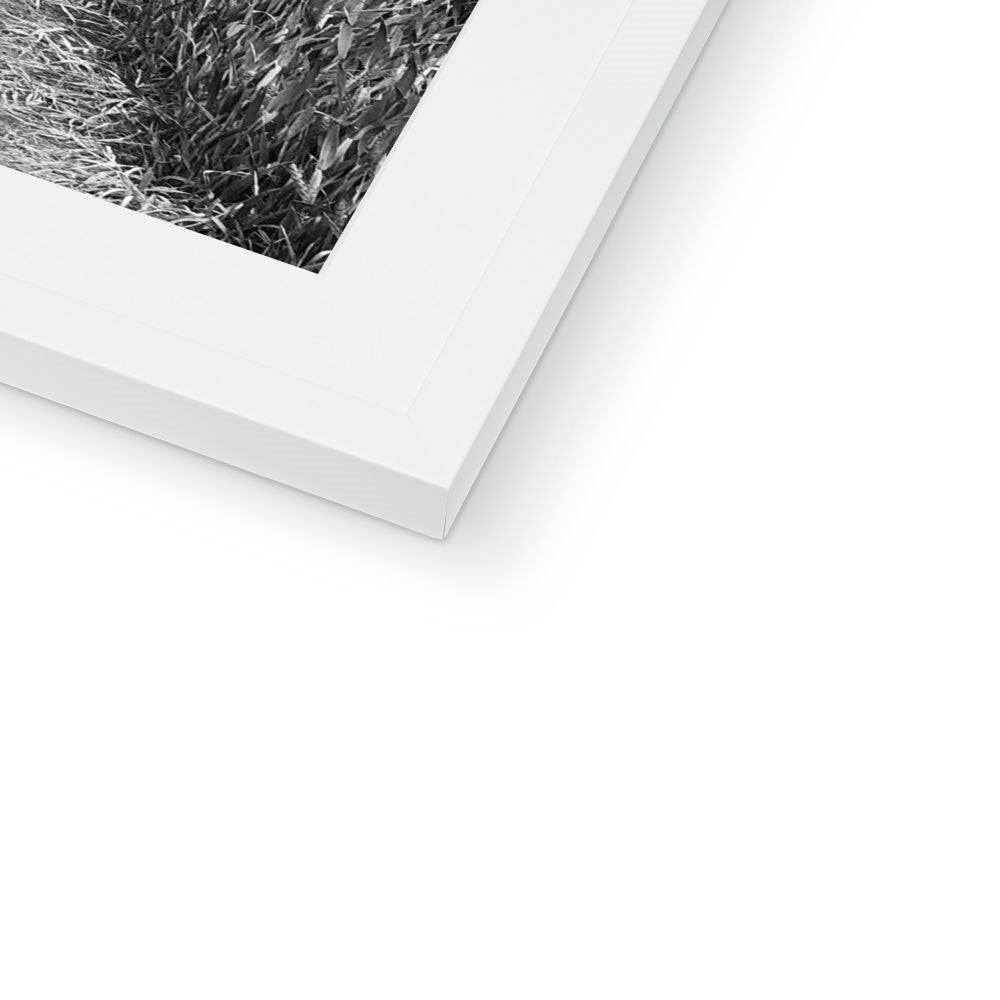 Jooie Parting the Way - Black & White Framed & Mounted Print