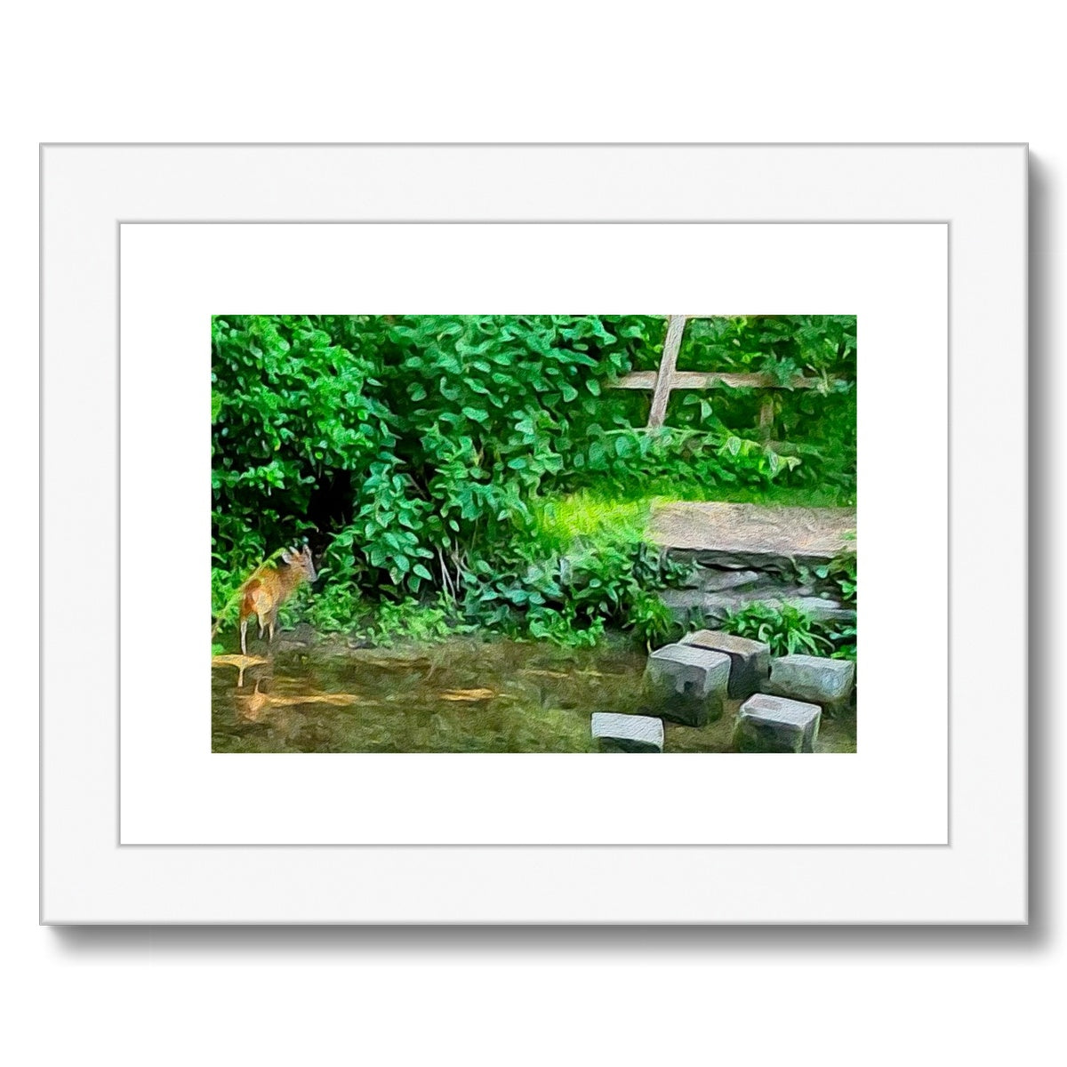 The Springs Muntjack - Oil Framed & Mounted Print